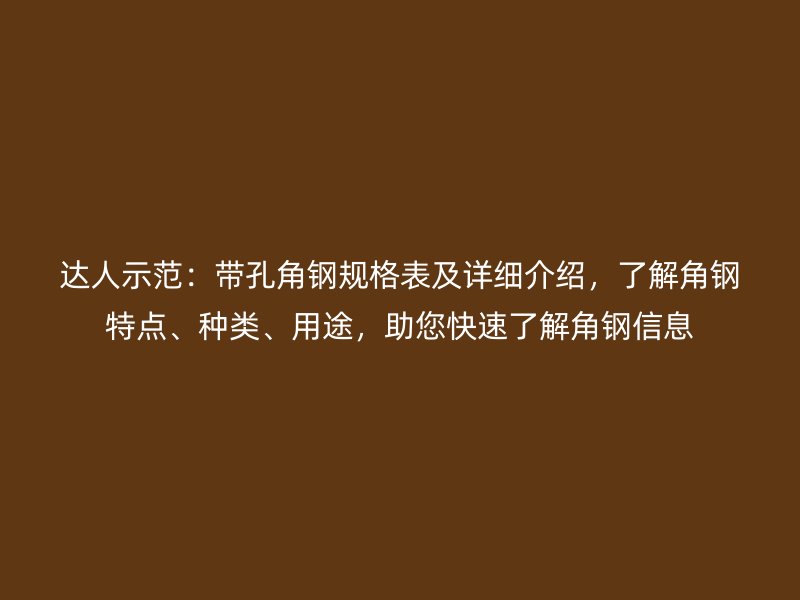 達人示范：帶孔角鋼規格表及詳細介紹，了解角鋼特點、種類、用途，助您快速了解角鋼信息