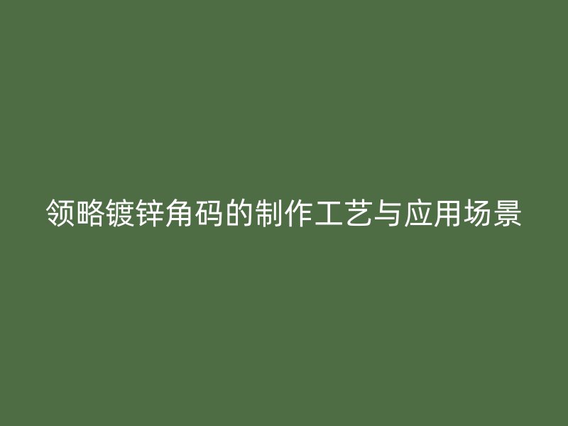 領(lǐng)略鍍鋅角碼的制作工藝與應(yīng)用場景